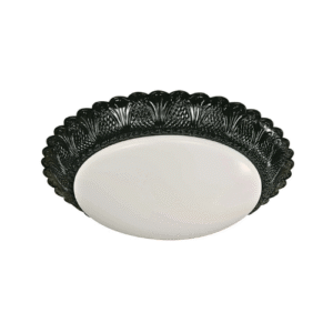 LT1701 LÁMPARA DE TECHO NEGRO ANTIGUO 2 LUCES 13"