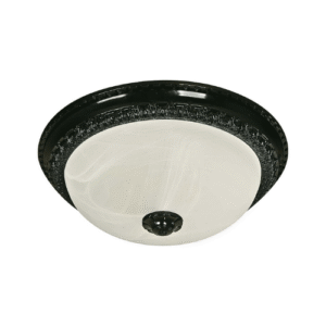 LT1703 LÁMPARA DE TECHO NEGRO ANTIGUO 2 LUCES 12"