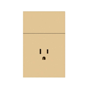 IN2077 INTERRUPTOR + TOMACORRIENTE DORADO PREMIUM